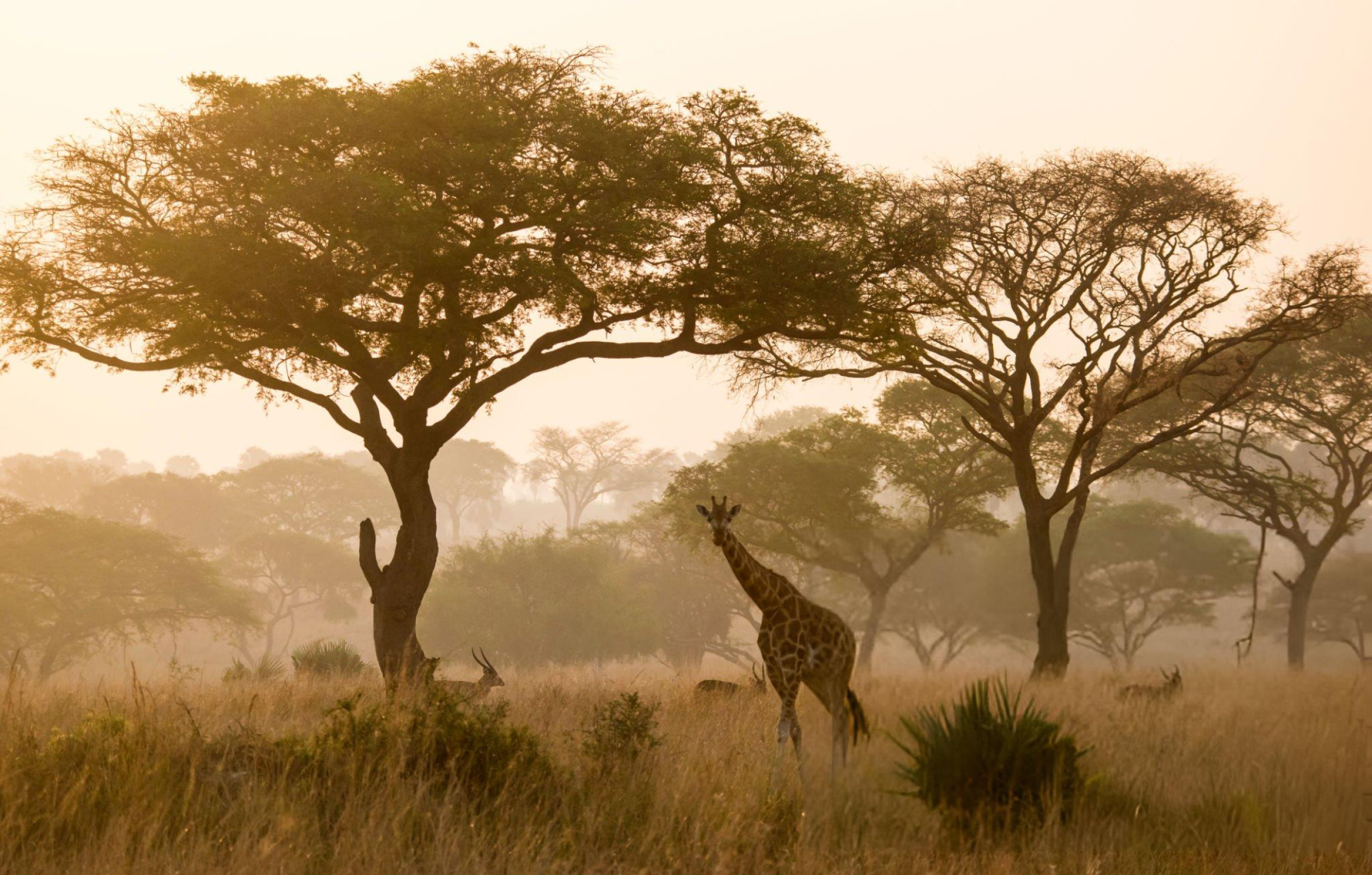 Kidepo Valley Remote Wilderness Safari