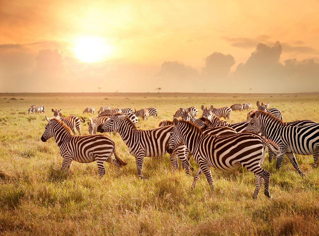 Queen Elizabeth National Park