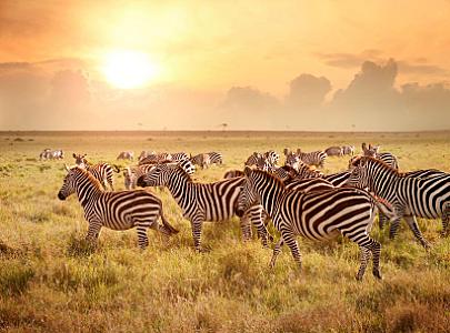 Queen Elizabeth National Park