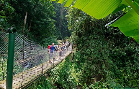 Rwenzori Mountains National Park