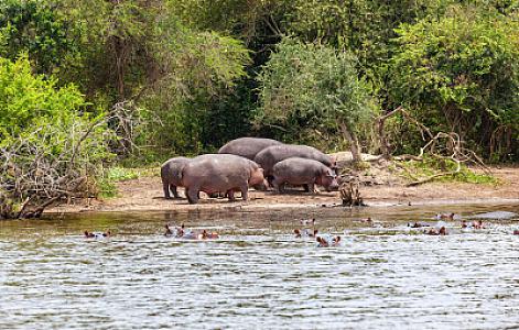 Lake Mburo National Park