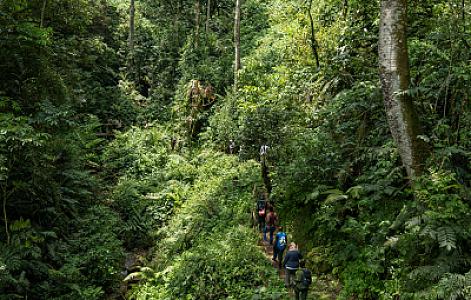 Mount Elgon National Park