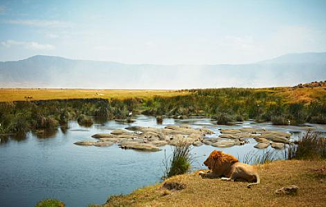 Ngorongoro Crater