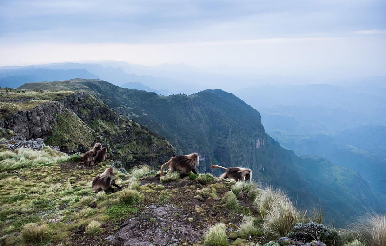 Simien Mountains National Park