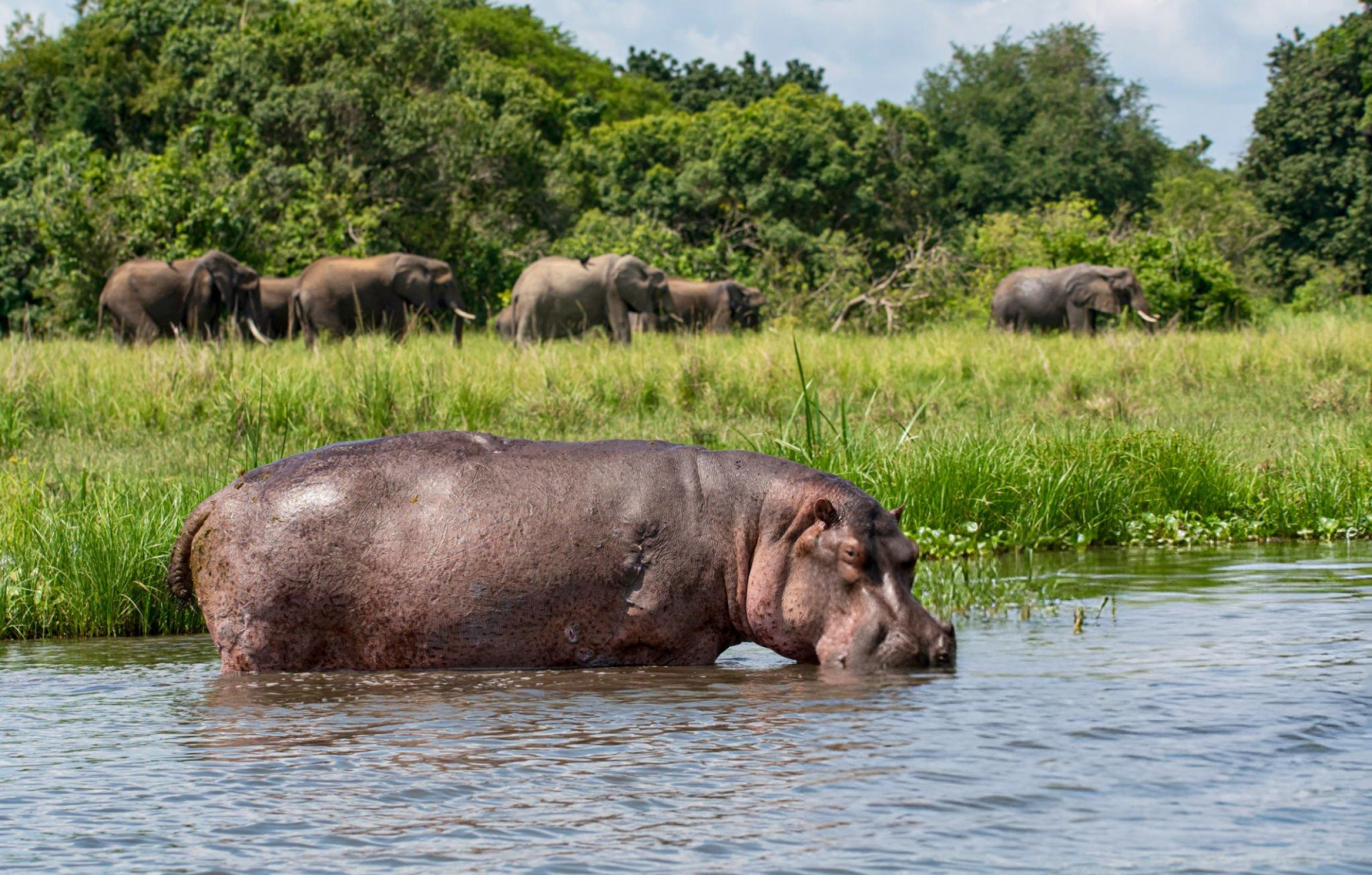 Murchison Falls Adventure Safari